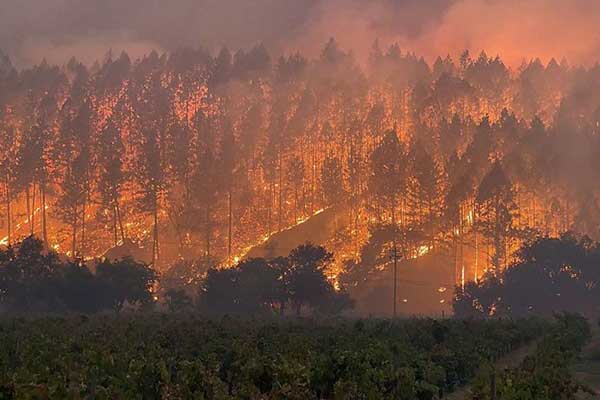 Canadian Wildfires 2026: Latest Updates on Ontario Blazes and Cross-Border Smoke